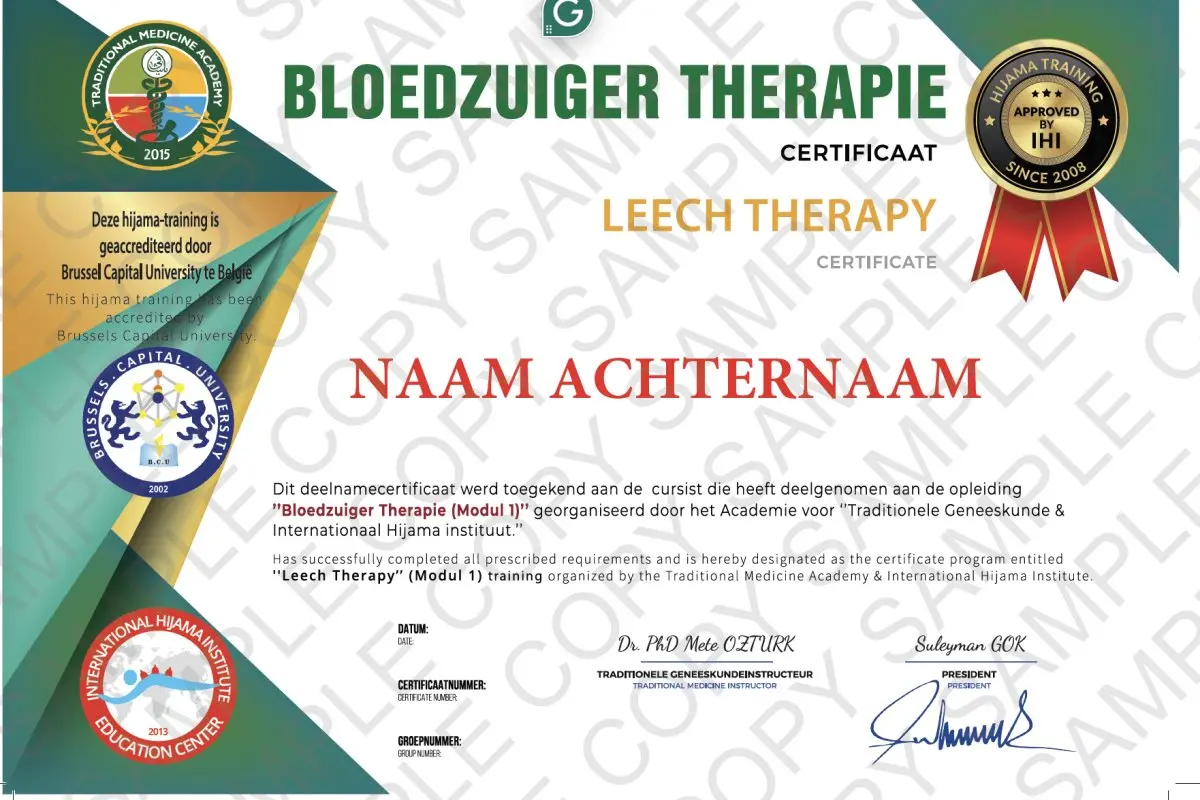 Hijama-Institut
